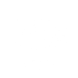 Long Island Shoe Company
